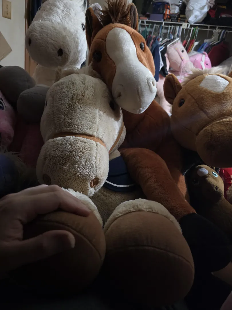 [Snuggle Saturday] my mares know it's Saturday.