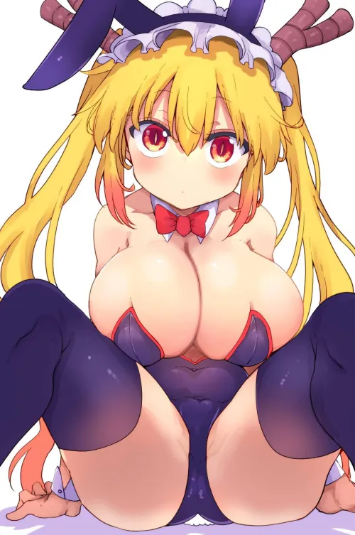 Tohru Bunny by Coolkyou2