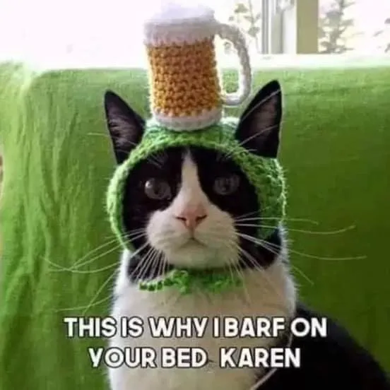 We've got green beer