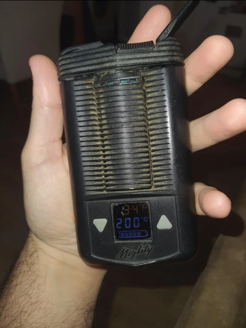 6 years old mighty. Getting scarred.