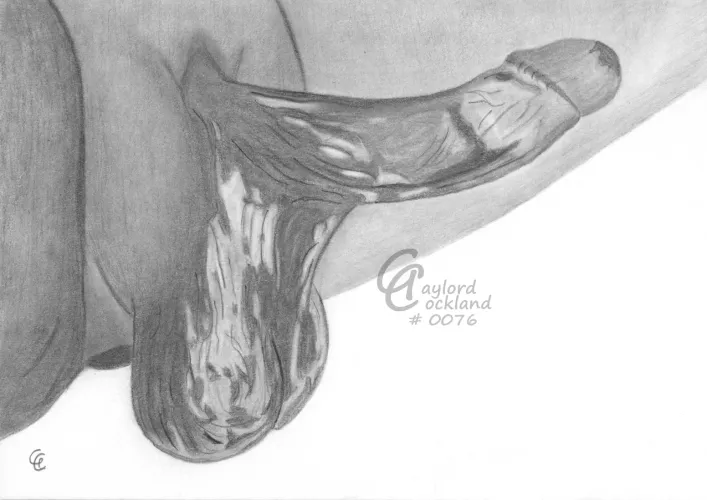 (#76) erect penis vitiligo, drawn by me