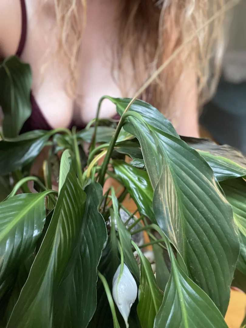 A second to appreciate the little flower trying to bloom