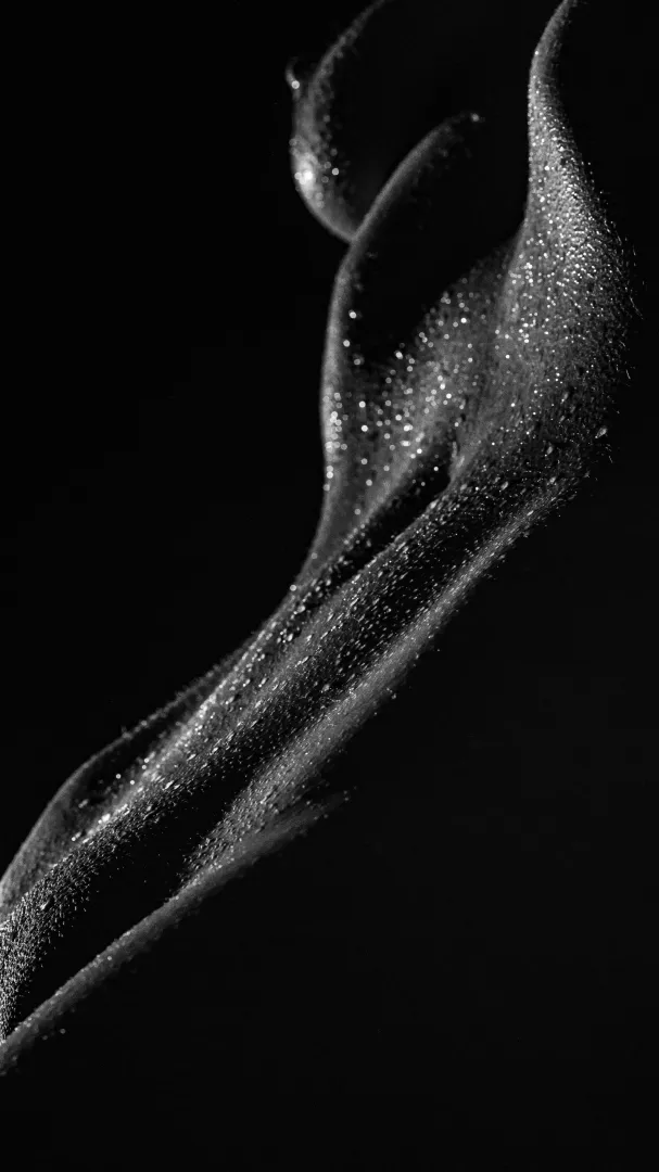 Find the Escape Route