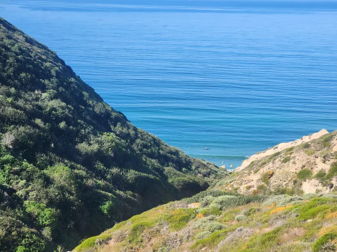 First outing to Black's this year.