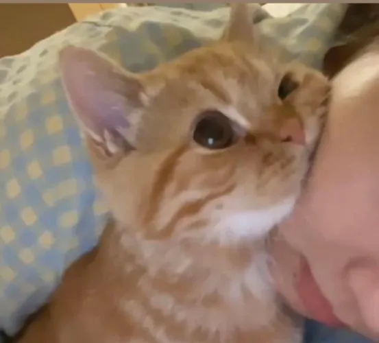 Give me some not so popular glow up tios, I've done the basics