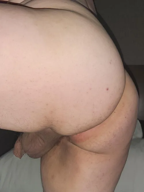 I need to get bred tonight