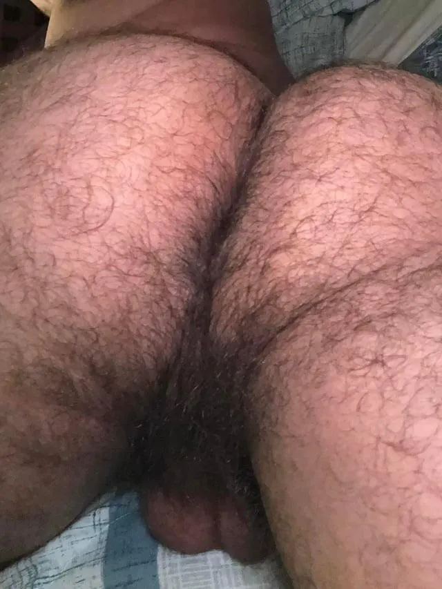 Latino looking for white alphas. kinky