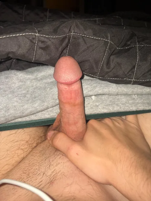 Looking to get my dick sucked m18