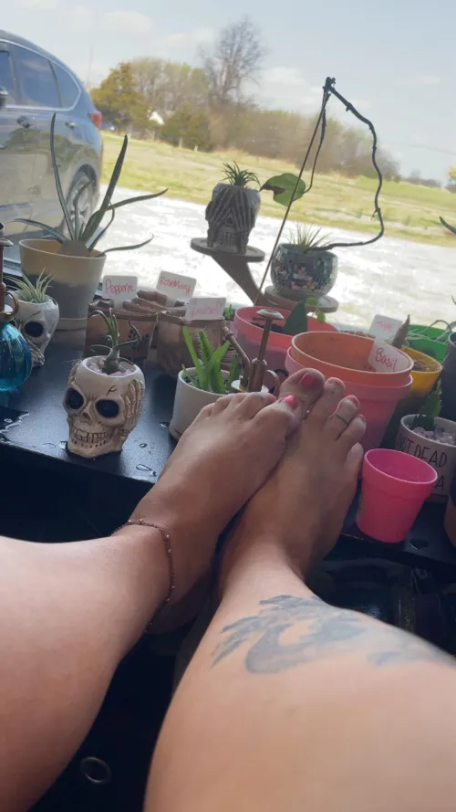 Mommy is ready for her lunch send[oc]