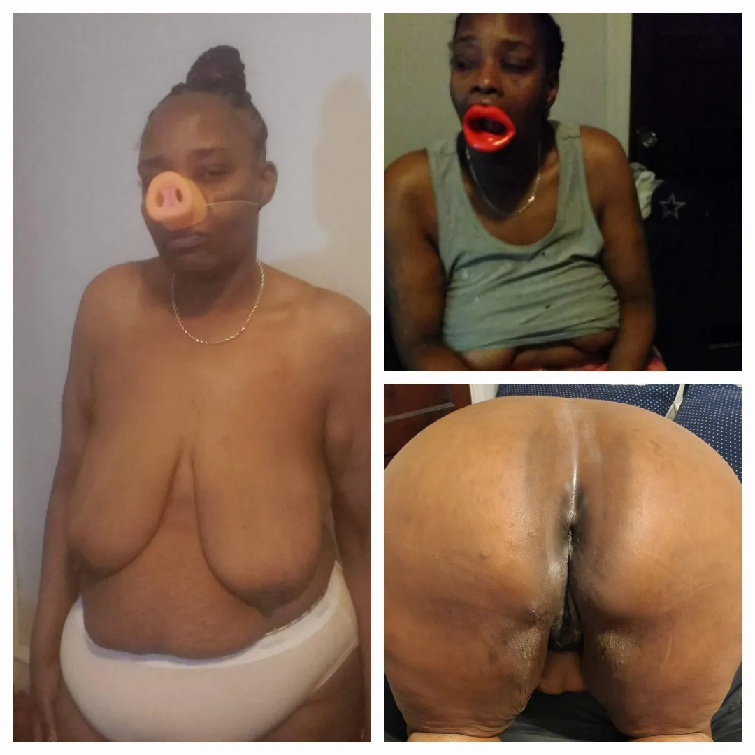 Personl piggy Luciana Karins