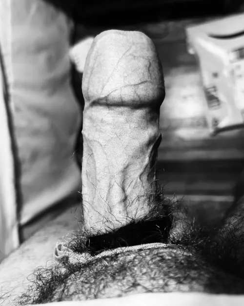 Pure & Simple B/W Art Boner