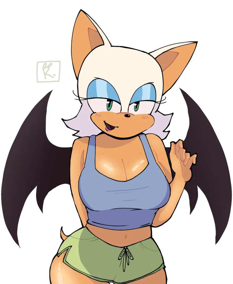 ROUGE THE BAT~ ( Comission )