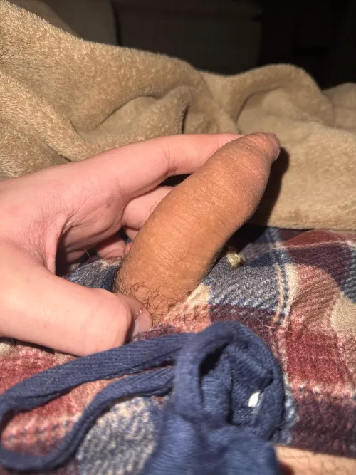 (Softie) Dm to trade