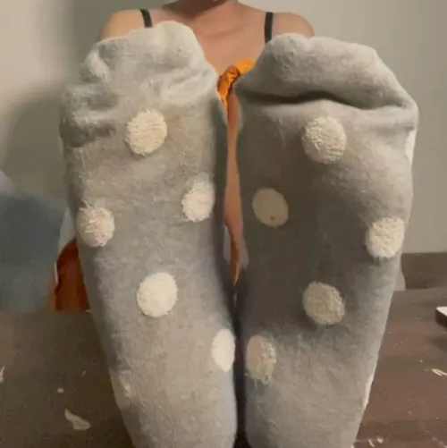 Submit to my smelly socks