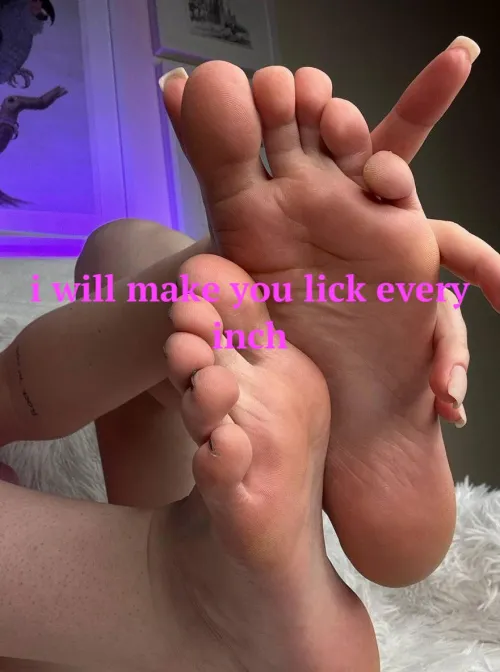 Will you be obedient?