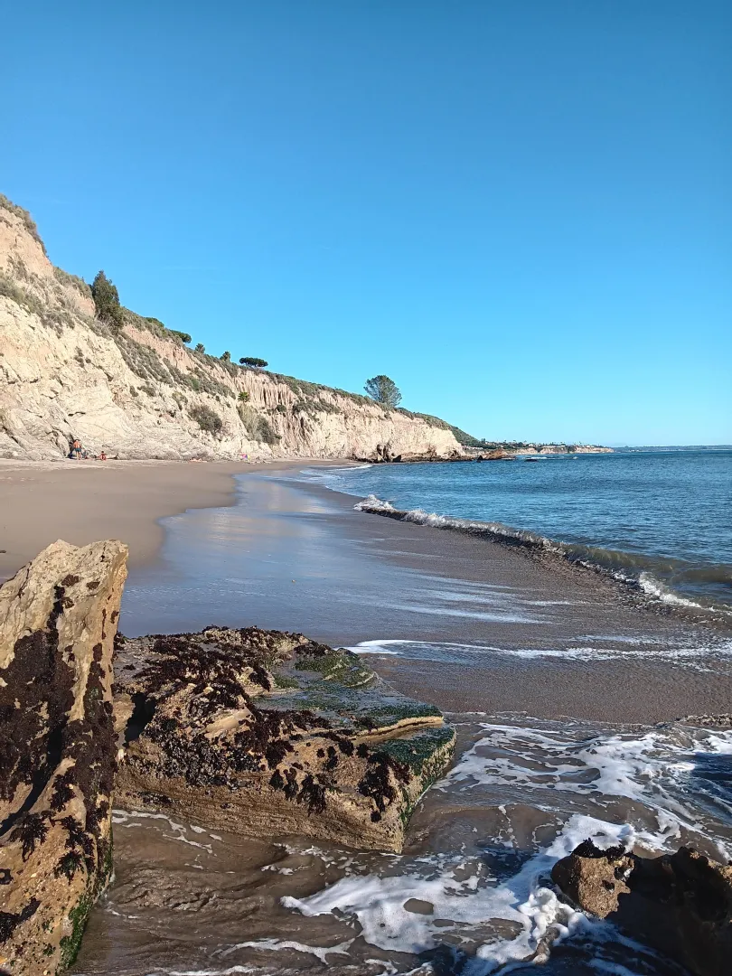 A bit windy today but we made it down