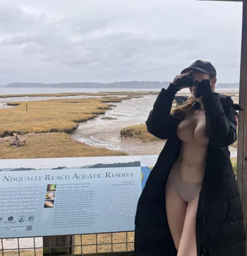 Give me your bird watching / boob / tit puns