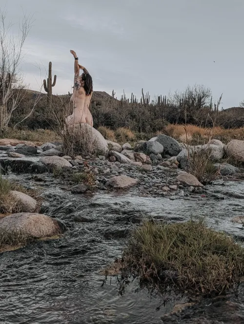 Had a little morning hike today here in AZ!