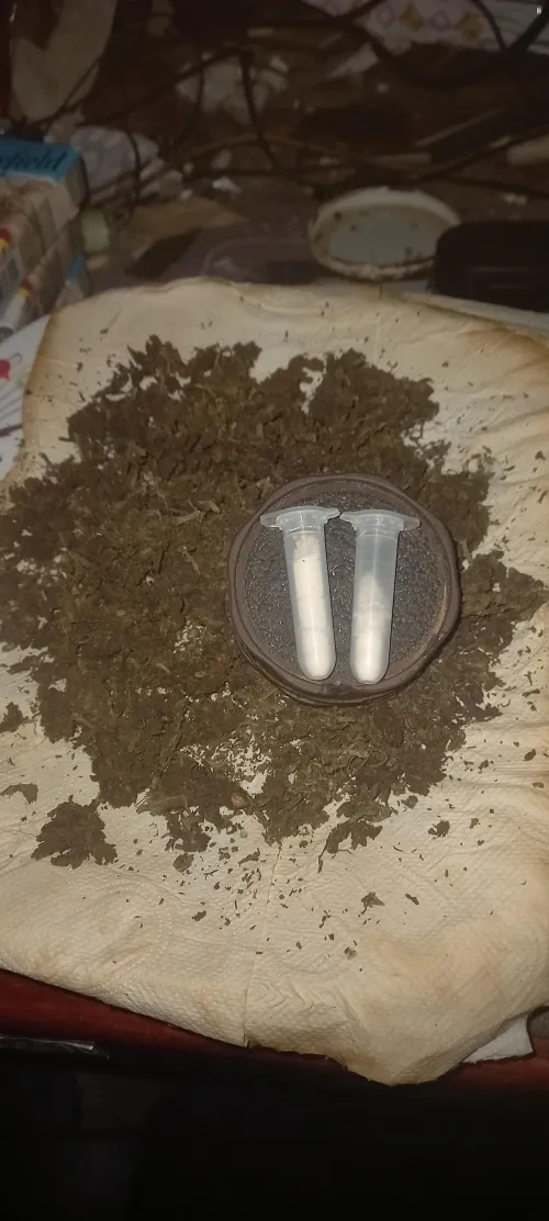 raiou com uns kunkzin duvidoso