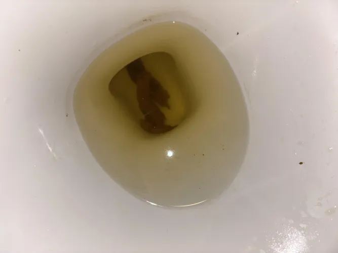 SELLING SCAT DROPBOX $65  SCAT TELEGRAM $95