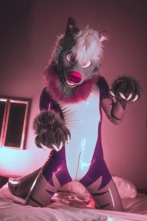 Belly rubs needed.. [steelyeen]