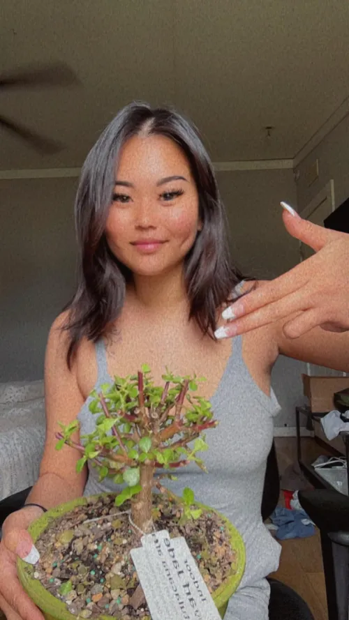 Cute domme with cuter bonsais  come add to my collection 