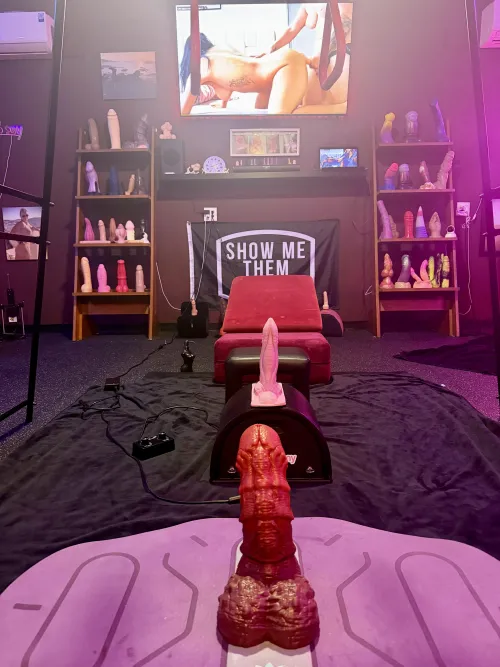 Last night’s line up 