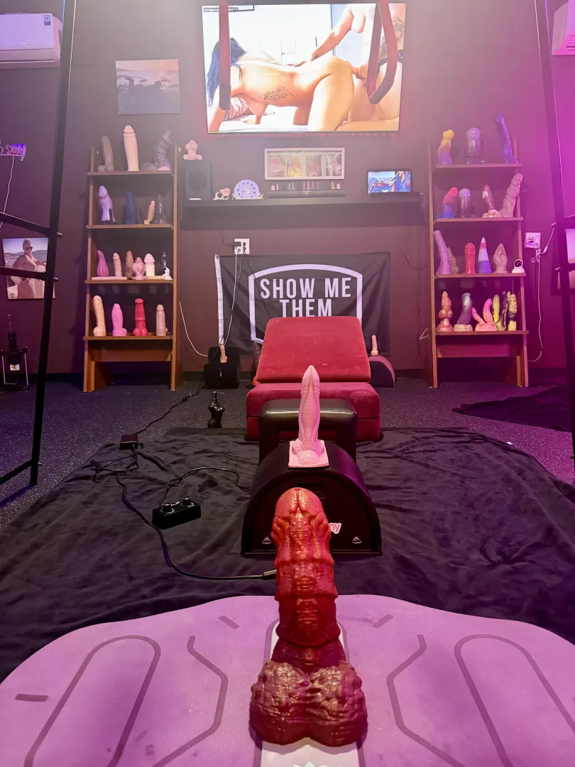 Last night’s line up 