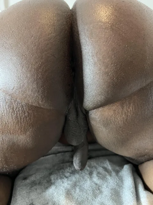 need my ass ate dm me