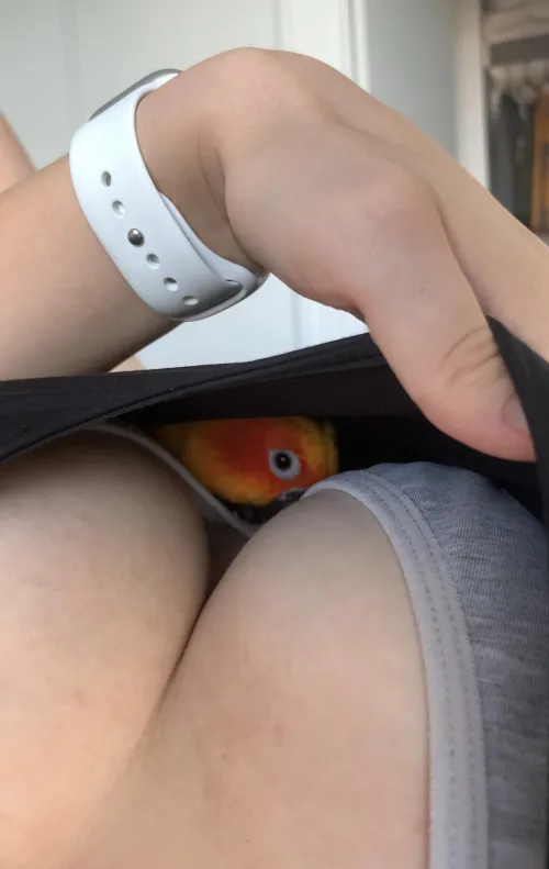 Someone else likes this place too 