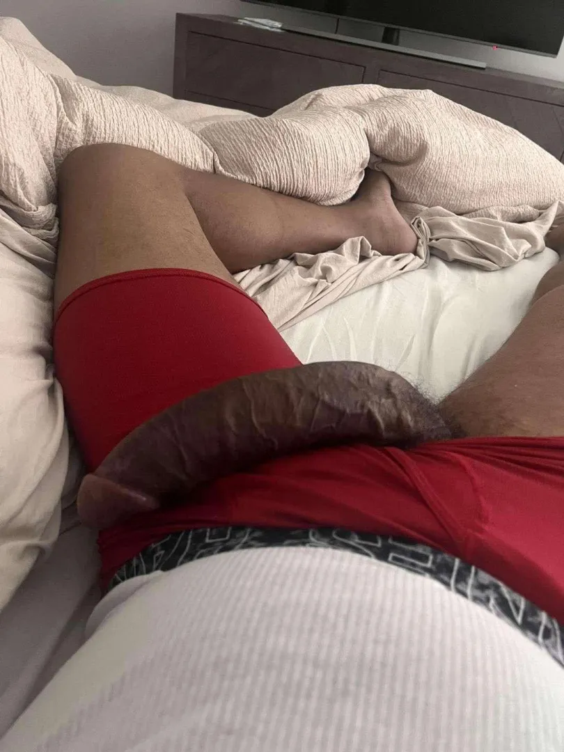 30 M4F Wesley Chapel