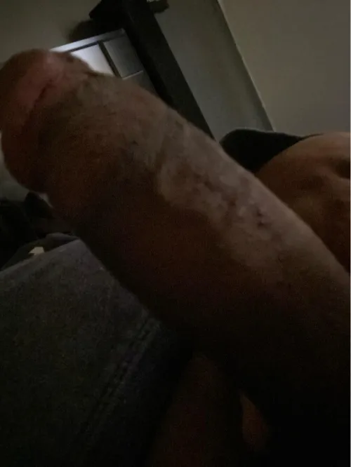 33 bbc bull Saginaw any couples looking this weekend ?