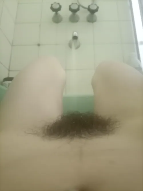 feeling myself with this bush