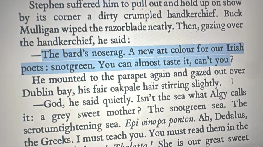 Is Ulysses supposed to be funny ?