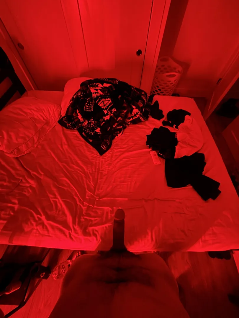 Northern Ute cock in PNW