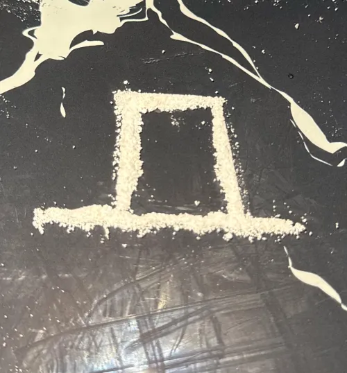  ❄️Pablo Snowcasso❄️