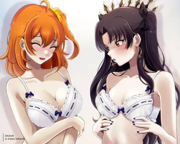 same bra, different results [FGO] (xkzan)