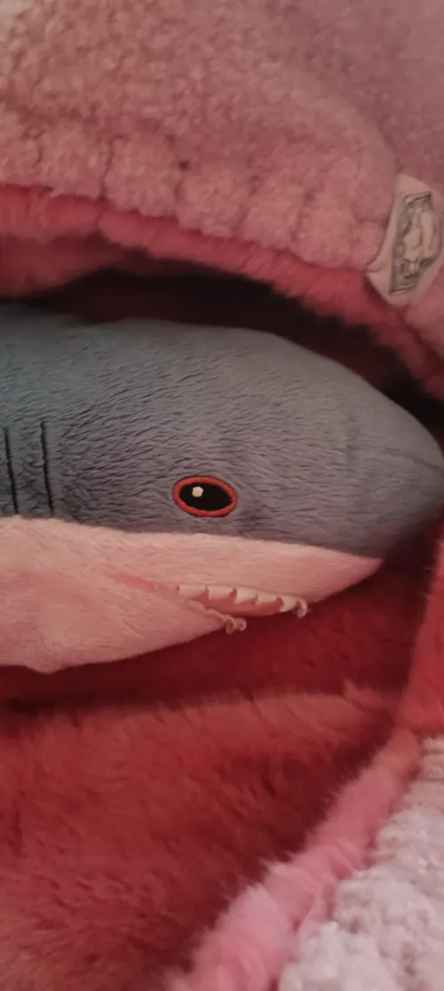 this is Esti we got her From Estonia.