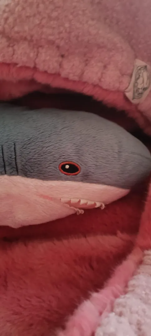 this is Esti we got her From Estonia.