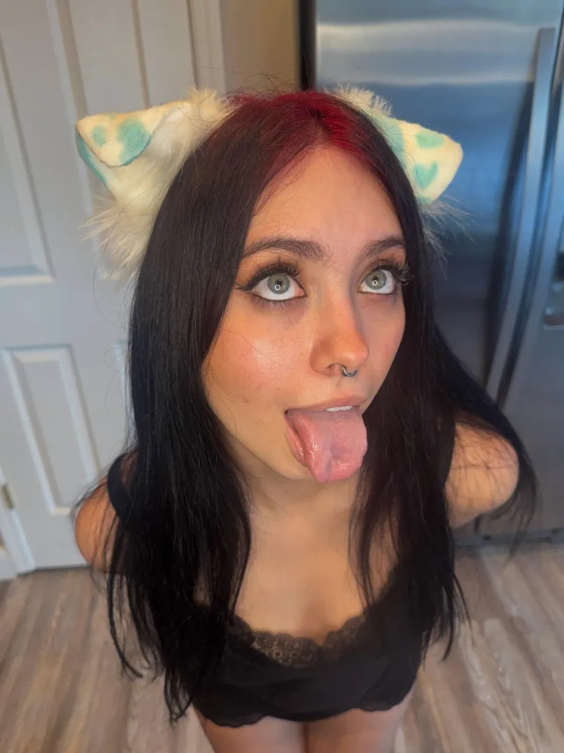 Begging for attention