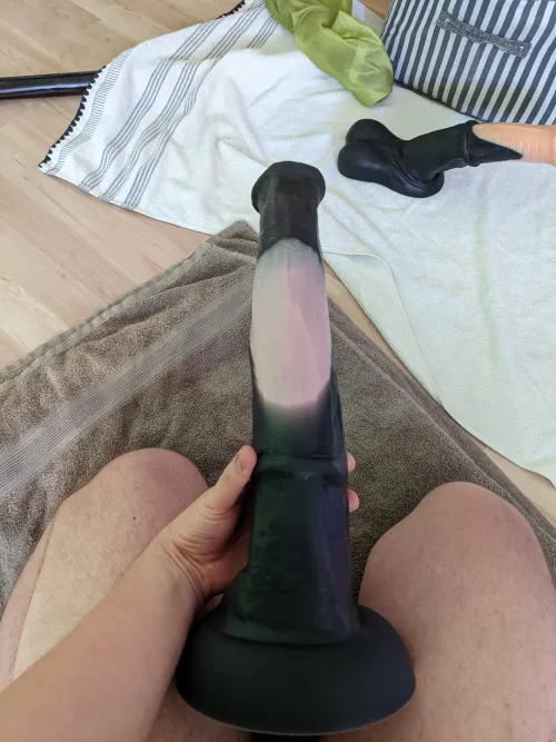 I wanted to show you all my Percheron stallion. My absolute favorite toy 