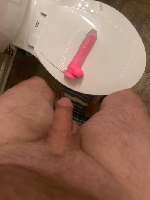 Let’s jerk and edge these cocks and cum together