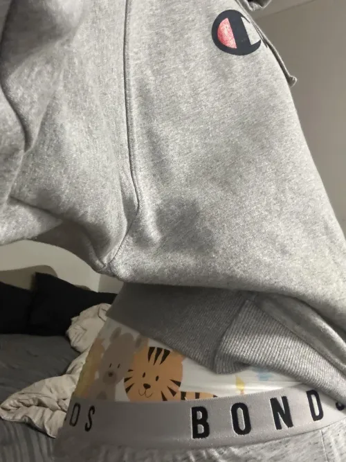 Lions, teddies & tigers! 