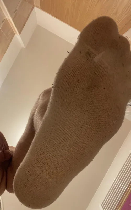 M23 name a better pov  size47 us13