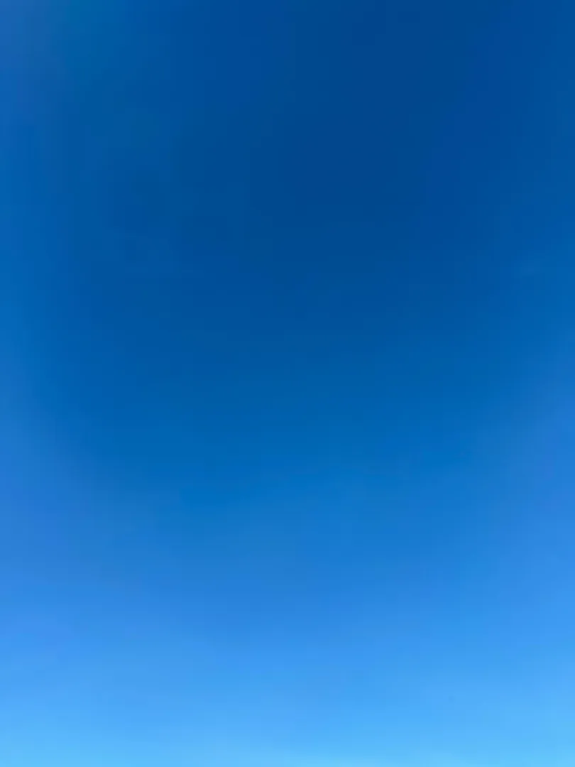 M32 F27 looking for bi bull