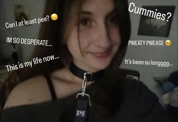 Pretty pls take me on a walk, I NEEED TO PEE!! 