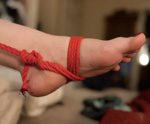 Shibari tease 