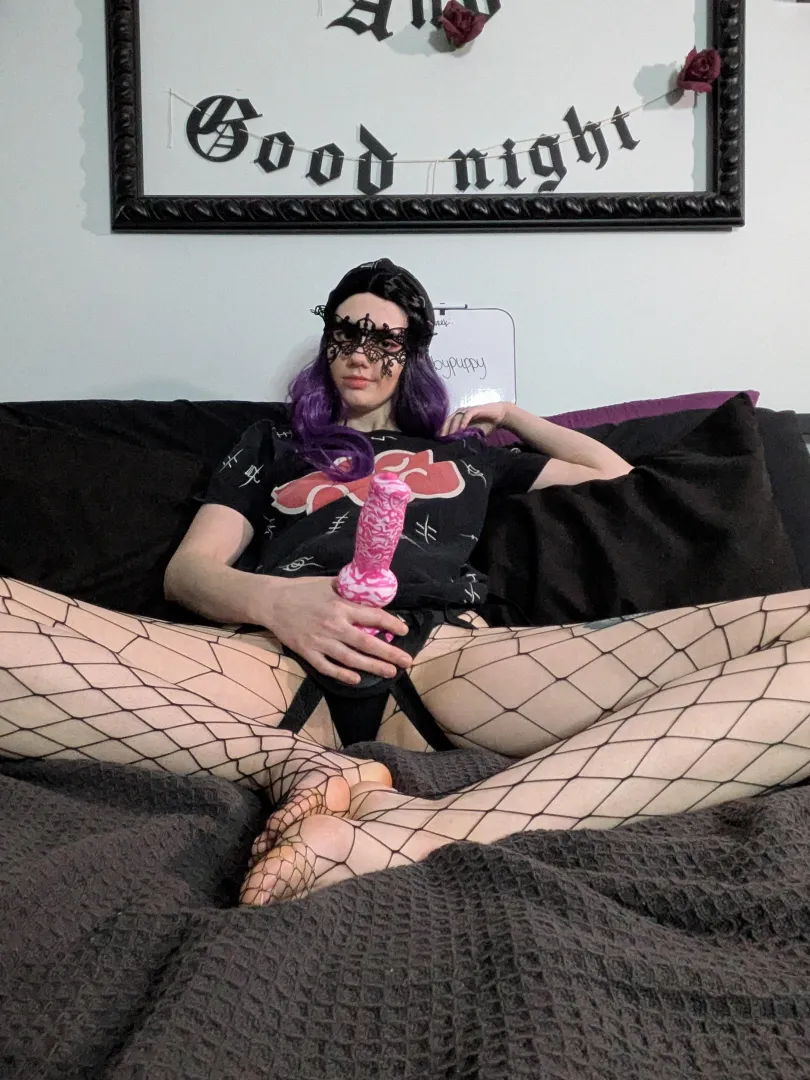 Sit, stay. Now rollover.