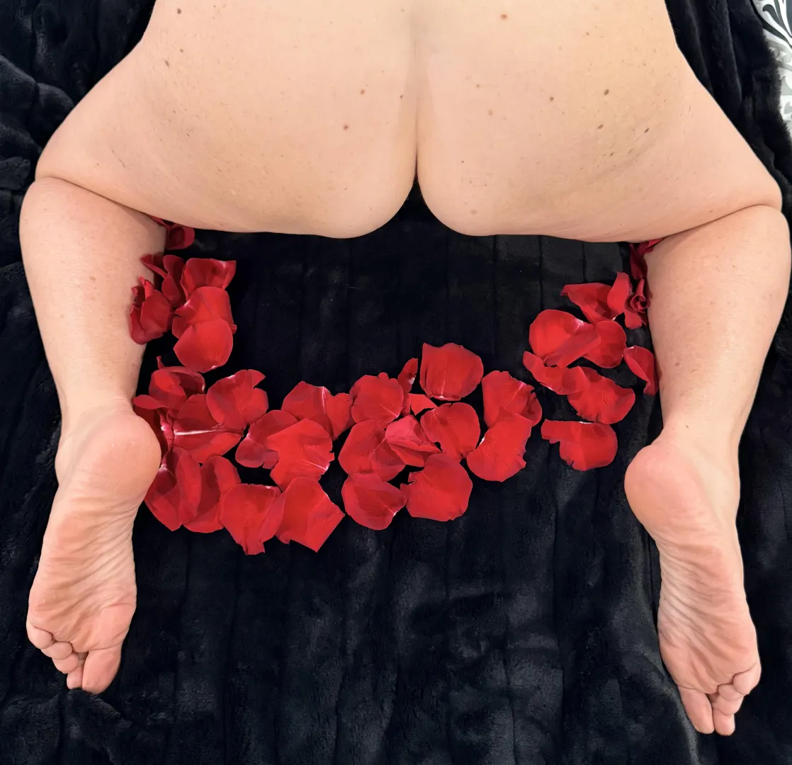 Thought you might appreciate this view. Let me know your thoughts