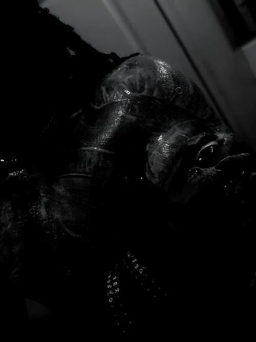 Watch me clean my body?